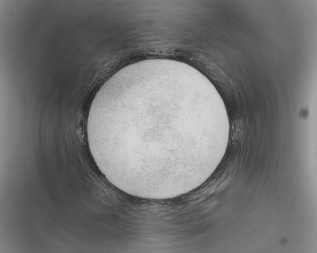 X0000116881202201001121315