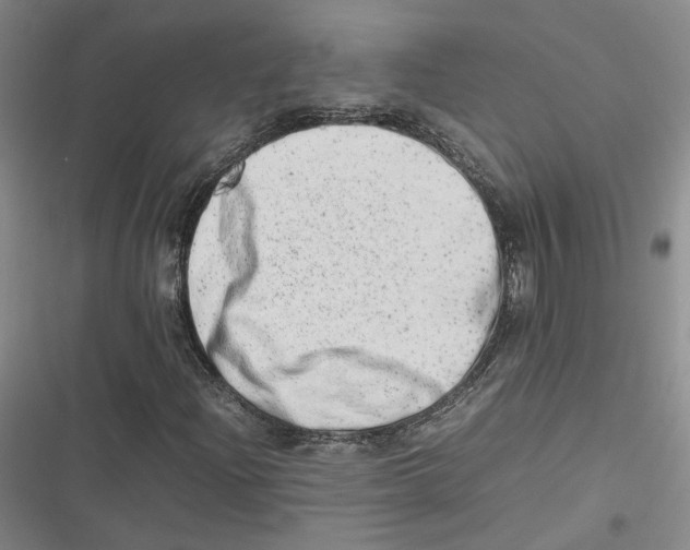 X0000116881204201001121315