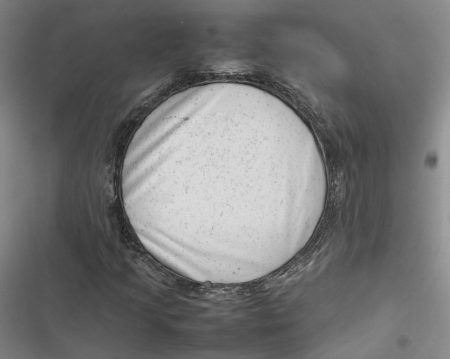 X0000116881205201001121315