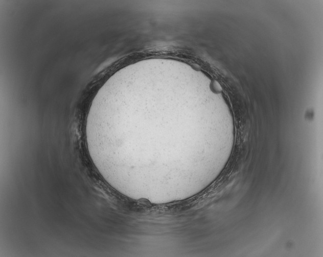X0000116881206201001121315