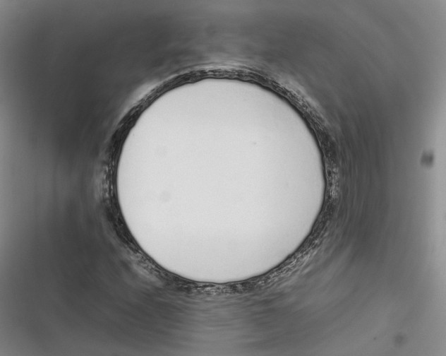 X0000116881208201001121315