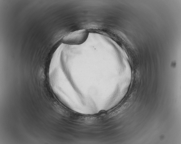X0000116881209201001121315