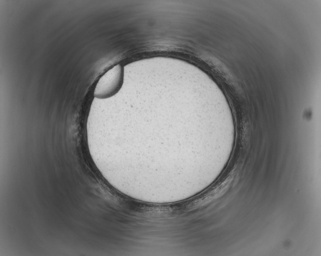 X0000116881210201001121315