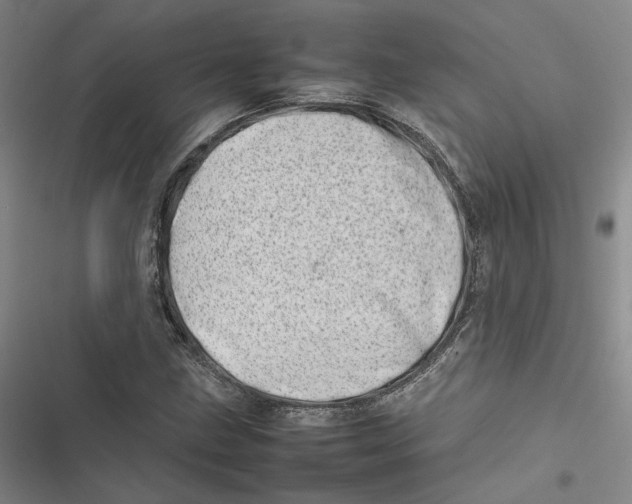 X0000116881211201001121315