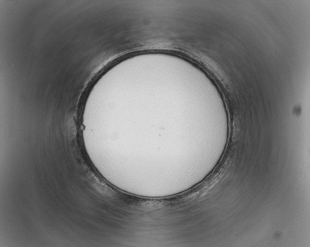 X0000116881212201001121315