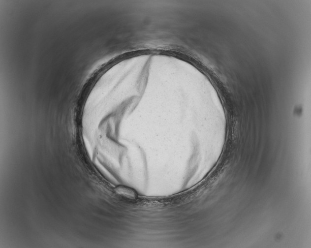X0000116881214201001121315