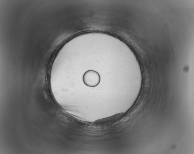 X0000116881215201001121315