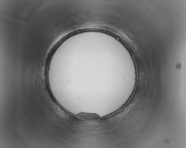 X0000116881216201001121315