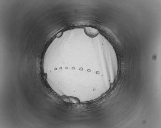 X0000116881217201001121315