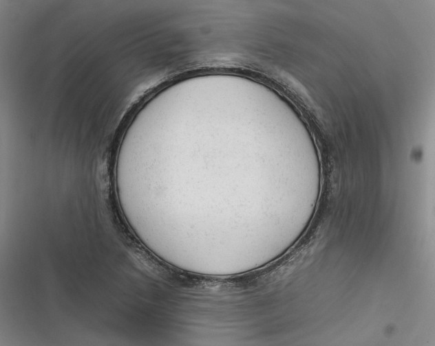 X0000116881218201001121315