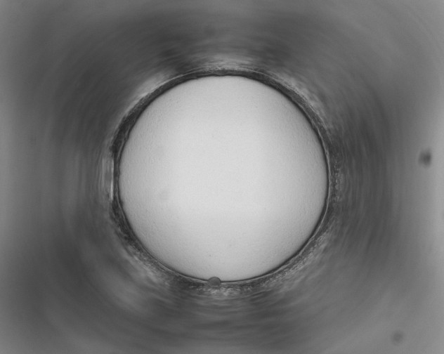 X0000116881219201001121315