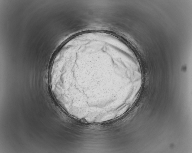 X0000116881220201001121315