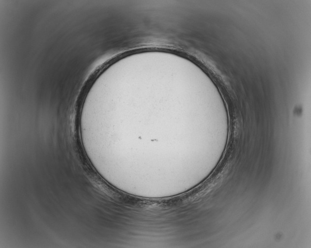 X0000116881222201001121315