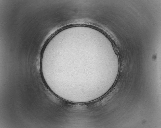X0000116881224201001121315