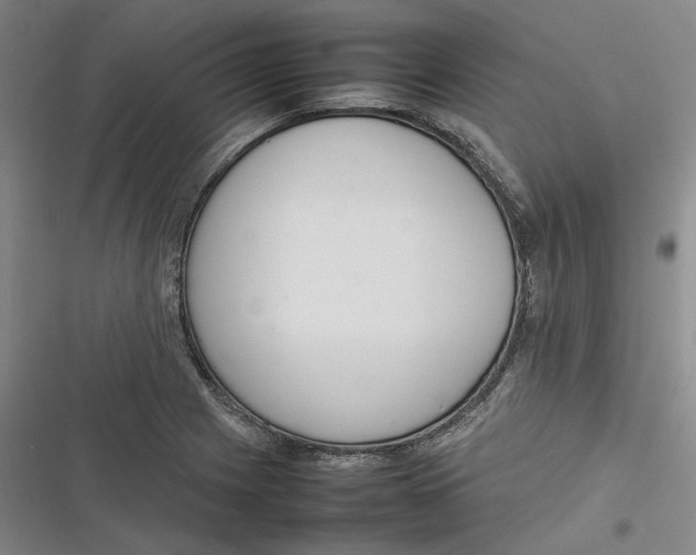X0000116881225201001121316