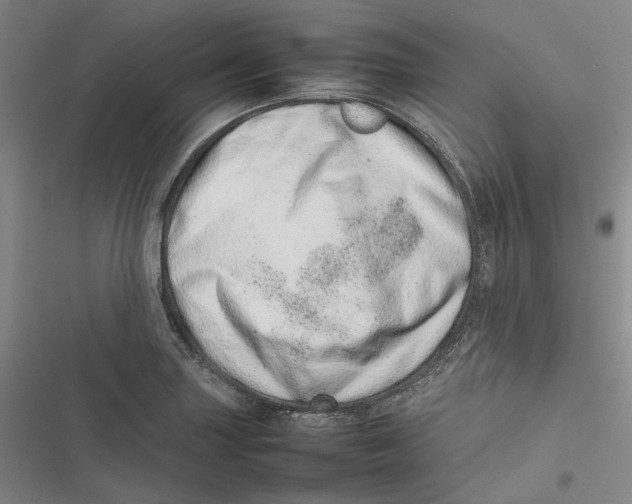 X0000116881227201001121316