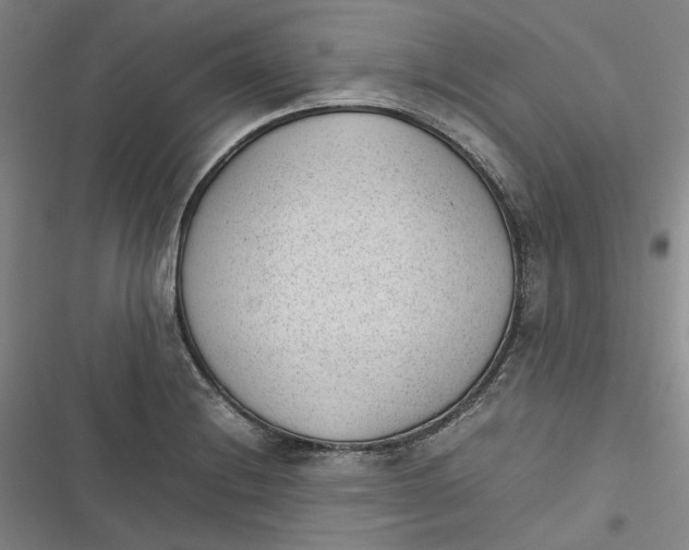 X0000116881228201001121316