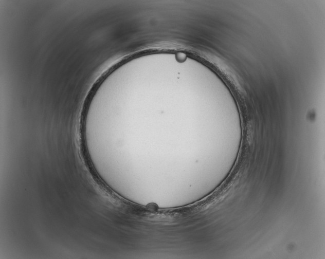 X0000116881229201001121316