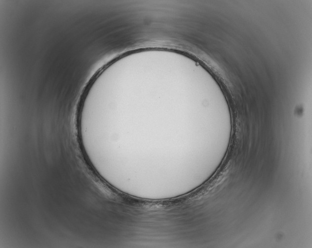 X0000116881230201001121316