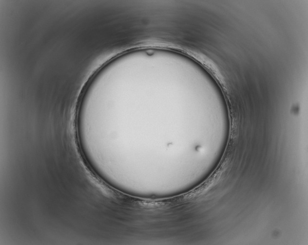 X0000116881231201001121316
