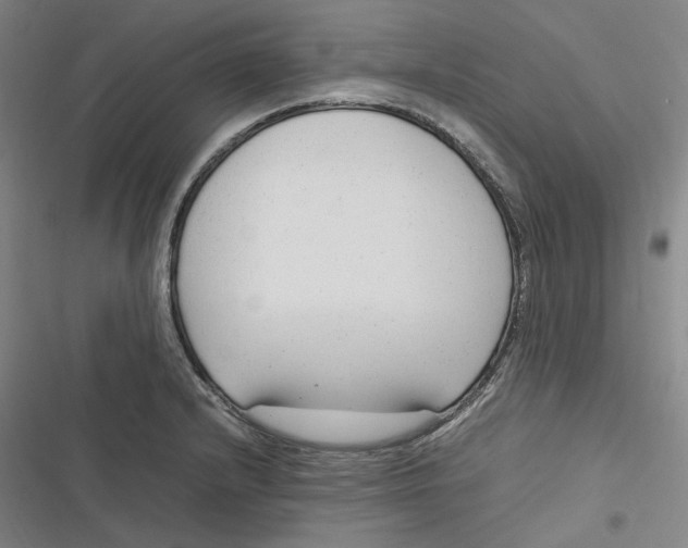 X0000116881232201001121316