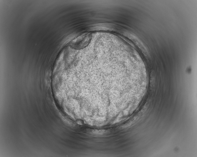 X0000116881233201001121316
