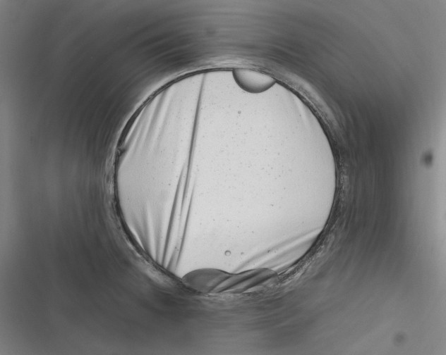 X0000116881236201001121316