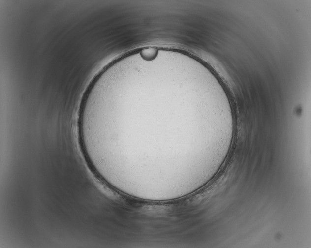 X0000116881237201001121316