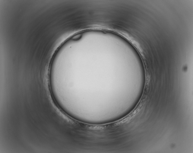 X0000116881239201001121316