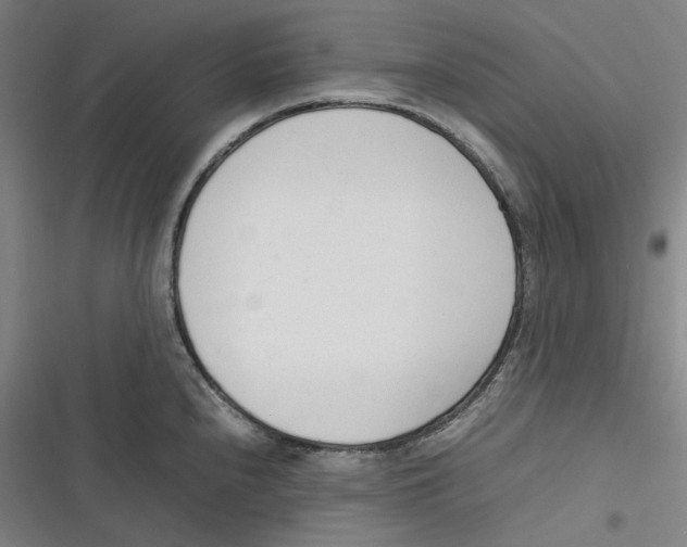 X0000116881240201001121316