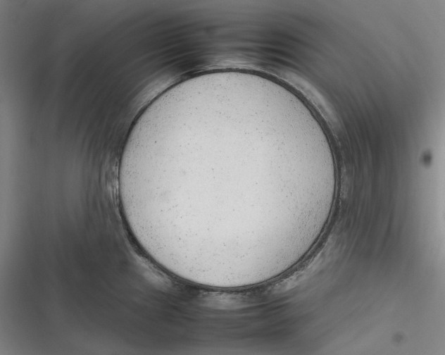X0000116881241201001121316