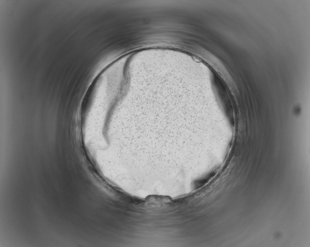 X0000116881242201001121316