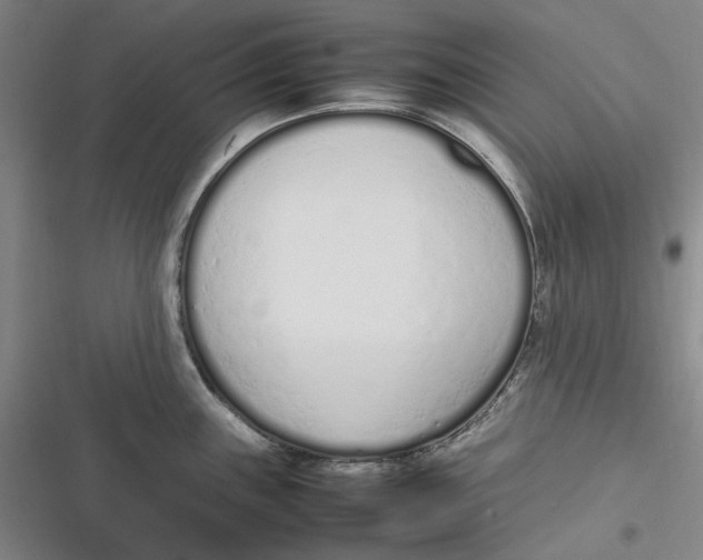 X0000116881243201001121316