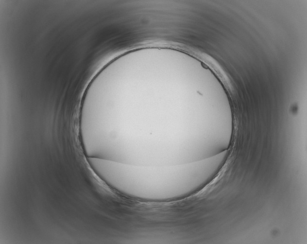 X0000116881244201001121316