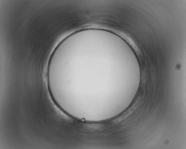 X0000116881247201001121316