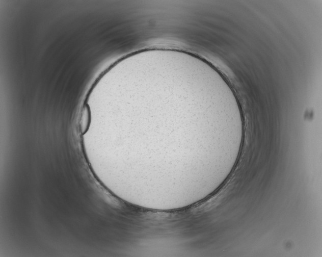 X0000116881248201001121316