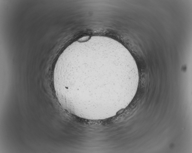 X0000116881249201001121315