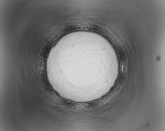 X0000116881251201001121315