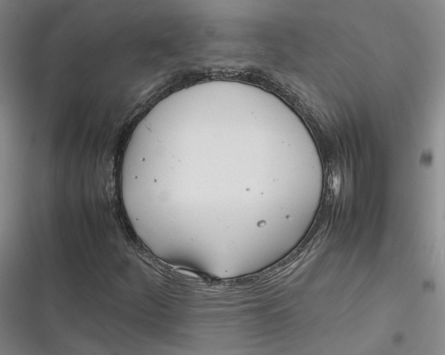 X0000116881252201001121315