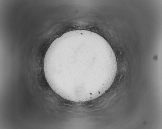 X0000116881253201001121315