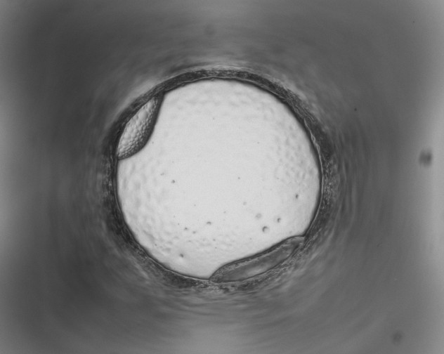 X0000116881255201001121315