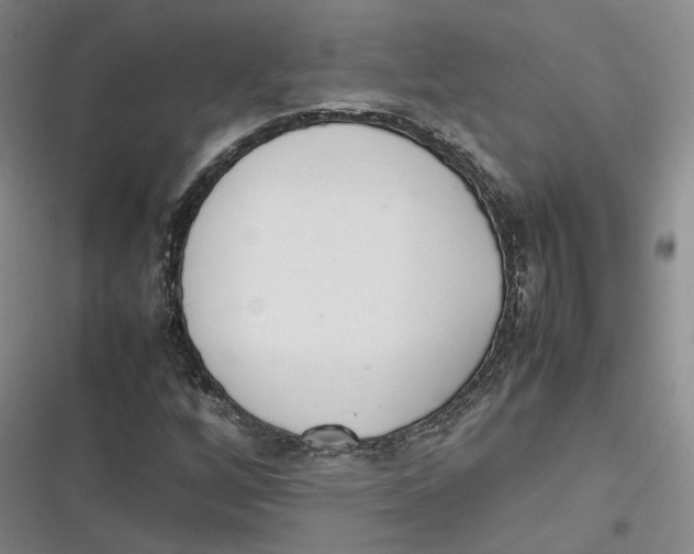 X0000116881256201001121315