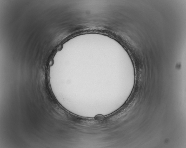 X0000116881257201001121315