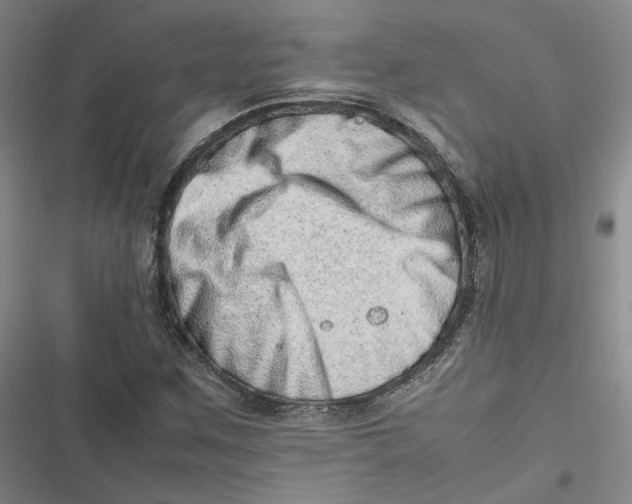 X0000116881259201001121315