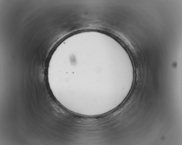 X0000116881260201001121315