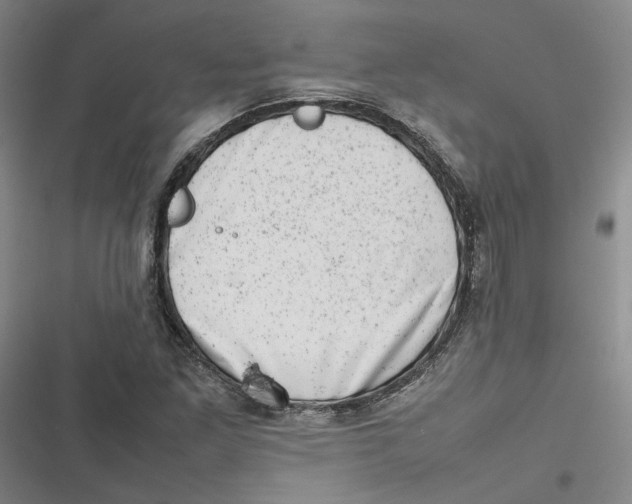 X0000116881261201001121315