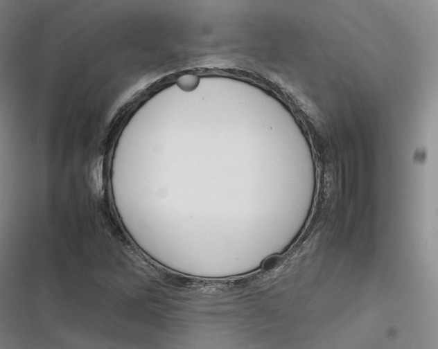 X0000116881262201001121315