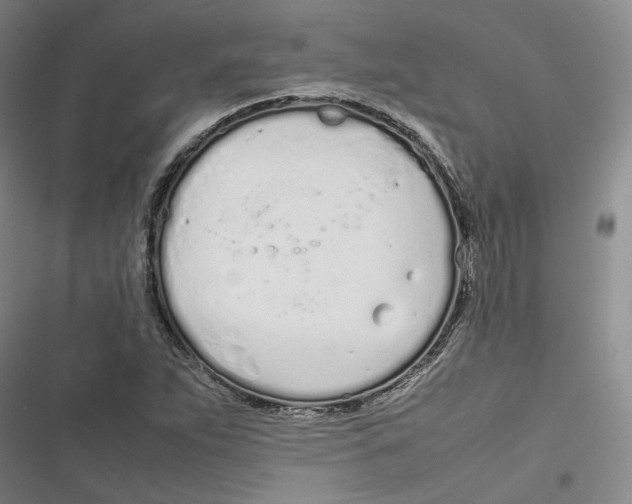 X0000116881263201001121315