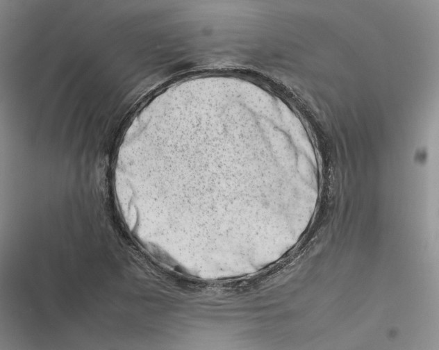 X0000116881265201001121315