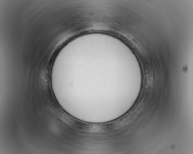 X0000116881266201001121315